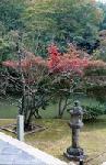 Kyoto by Olivier