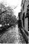 A walk in Kyoto by Norihiro