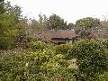 Nihon 2005: Kyoto, deep inside