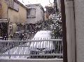 Nihon 2006: Snowing Tokyo