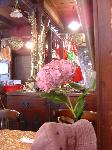Week-end in Izu peninsula