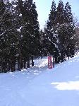 Ski week-end in Nagano