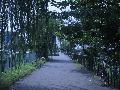 Pierre at Kyoto : Follow the guide