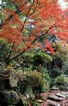 Kyoto by Olivier