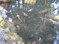 Nihon 2005: Hanging around in Kansai