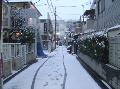 Nihon 2006: Snowing Tokyo