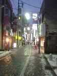 Nihon 2006: Snowing Tokyo