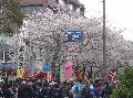 Nihon 2006: Kanamara festival