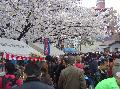Nihon 2006: Kanamara festival