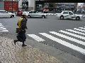 Oups! Pierre did it again : 2nd part