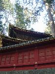 Nihon 2004 : Hiking in Nikko